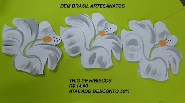 TRIO DE HIBISCOS